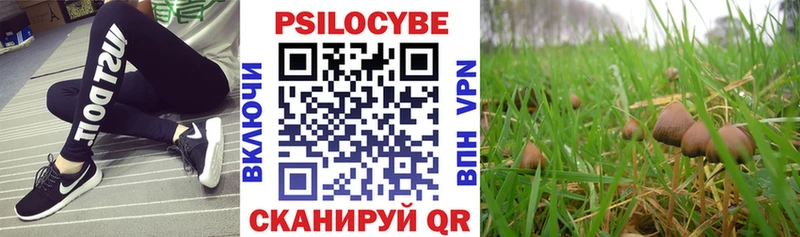 Галлюциногенные грибы Psilocybe где найти наркотики маркетплейс формула Таруса